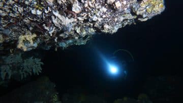 Le Grotte Sommerse di Ustica